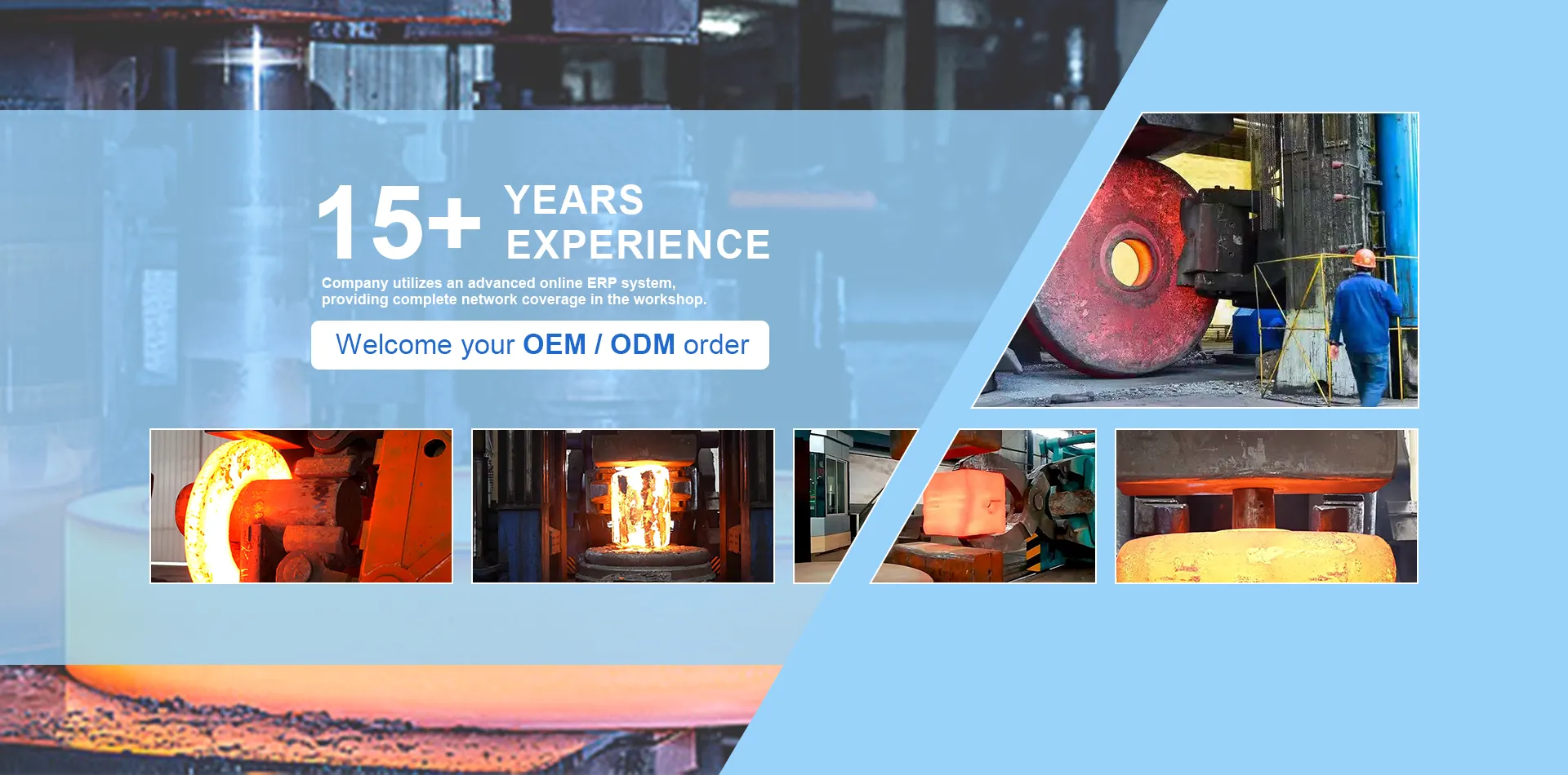 About Longan About Longan